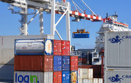 Woodex Logistic Co Ltd