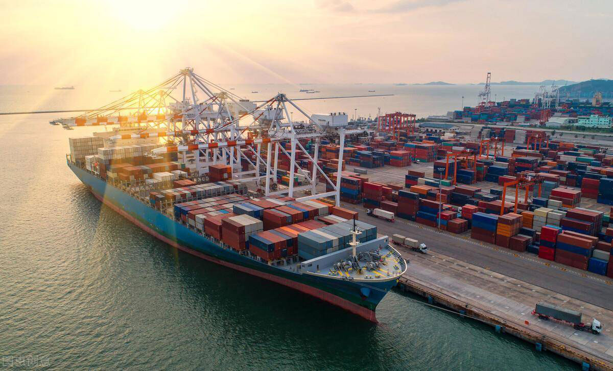 Woodex Logistic Co Ltd